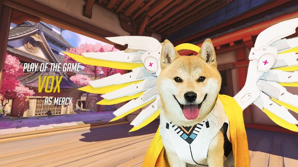 Сногсшибательный собакосплей Overwatch . - Изображение 4 Сногсшибательный собакосплей Overwatch . - Изображение 4