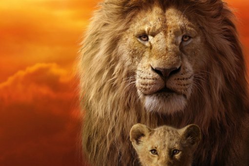 Представители Disney выставили штраф школе за показ «Короля льва». Стороны нашли компромисс